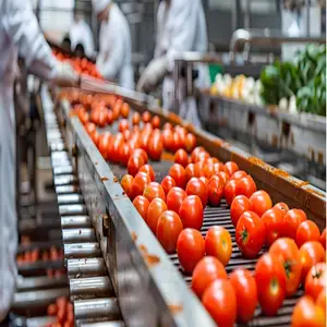 Food packaging production line